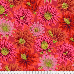 Bild på Cactus Flower PWPJ096.red Philip Jacobs for the Kaffe Fassett Collective