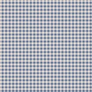 Bild på 160073 Gingham Blue – Summer Creating Memories