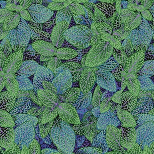 Bild på Kaffe Fassett Collective Fittonia – PWPJ129-GREEN