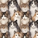 Bild på Multi Longhaired Cats Tyg med katter